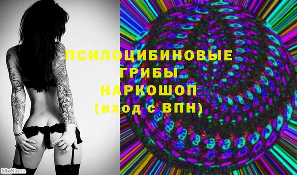 прущая мука Белокуриха