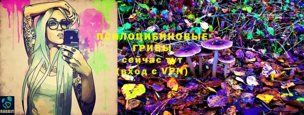 spice Беломорск