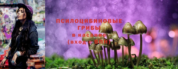 прущая мука Белокуриха